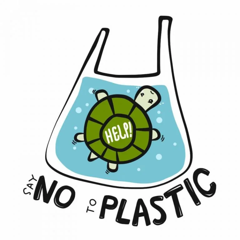 Macau to Ban Non-Biodegradable Plastic Foodware from 2024