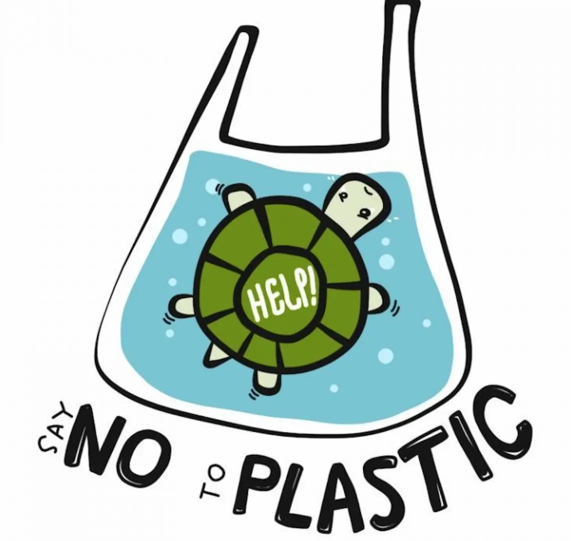Zhejiang's Ten Major Special Actions on Plastic Pollution Control in 2024! Ban and restrict the use of non-degradable plastic bags...