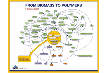 What is the Prospect of Bio-based Materials
