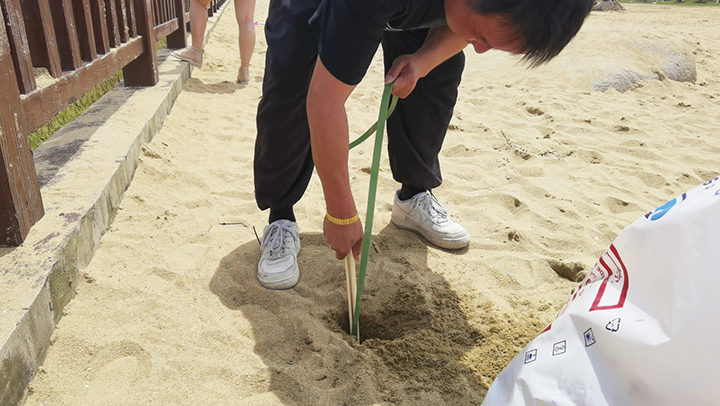 Beach Cleanup Effort 2021