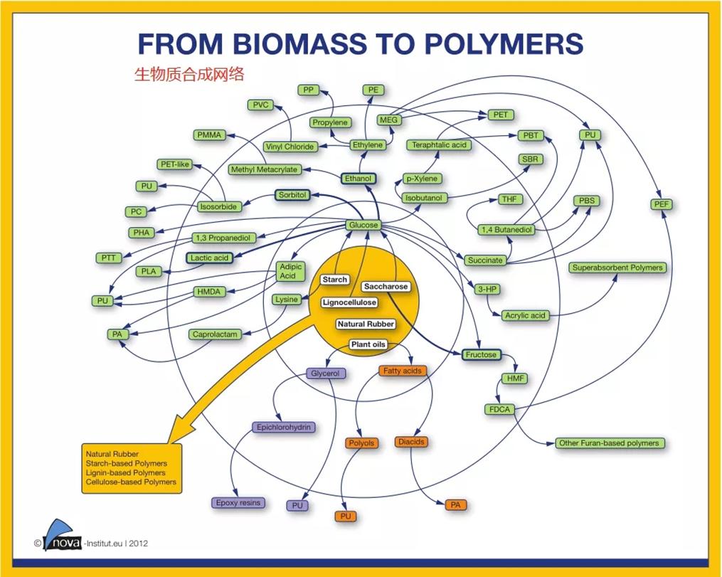 What is the Prospect of Bio-based Materials