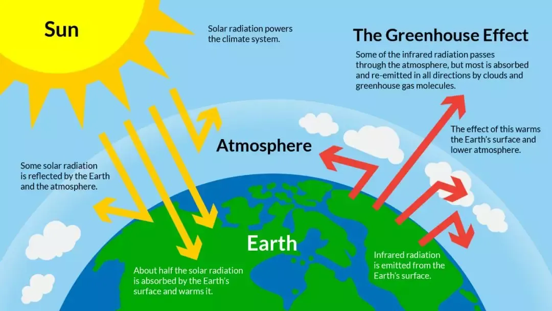 the_greenhouse_effect.png